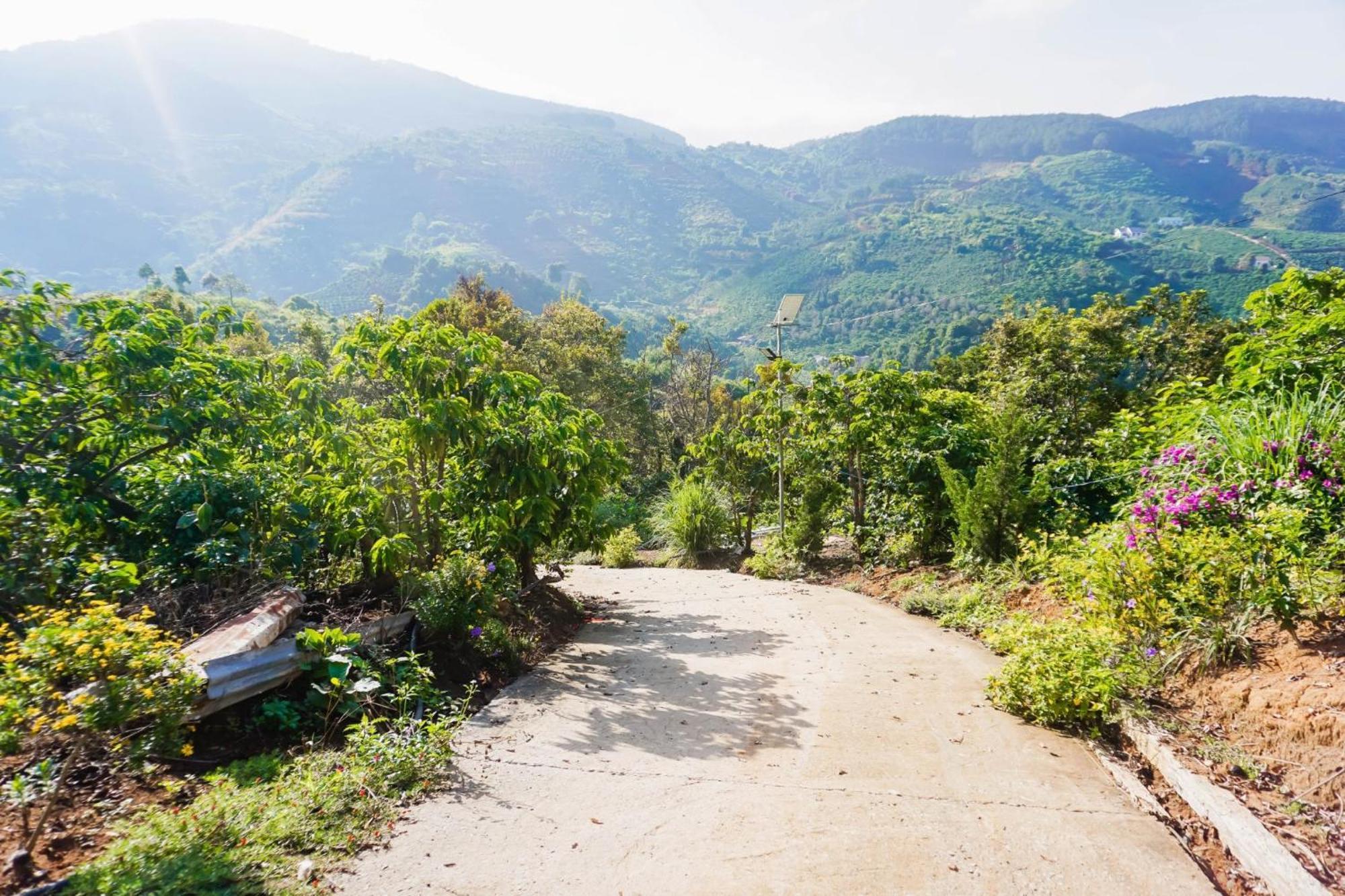 Farm Co Chu Tuan Ha Bed & Breakfast Da Lat Exterior foto